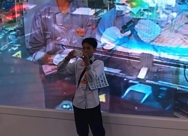 职场小杨哥简介